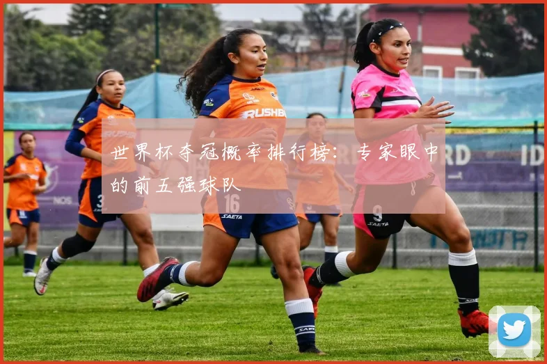 世界杯夺冠概率排行榜：专家眼中的前五强球队